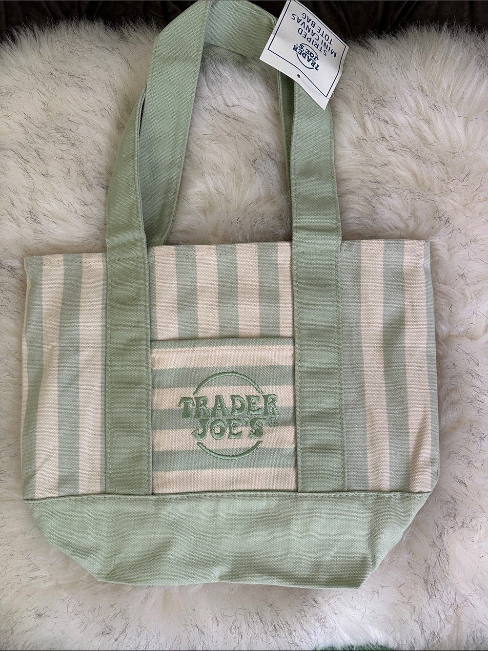 Trader Joe’s Mint Green Stripe Canvas Tote Bag